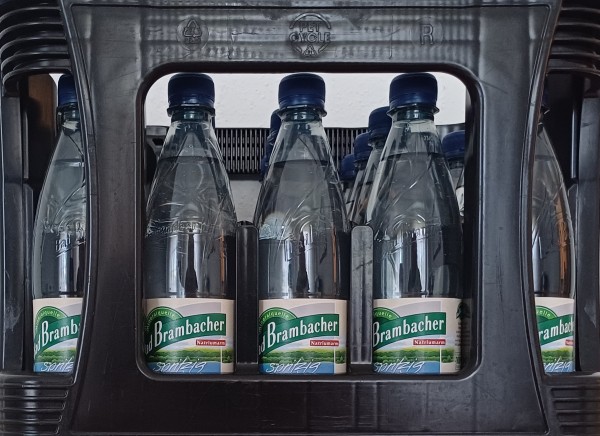 Bad Brambacher Spritzig 20x0,5l