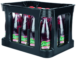 Bad Brambacher Vita -Mineral Apfel-Zitrone 20x0,5l