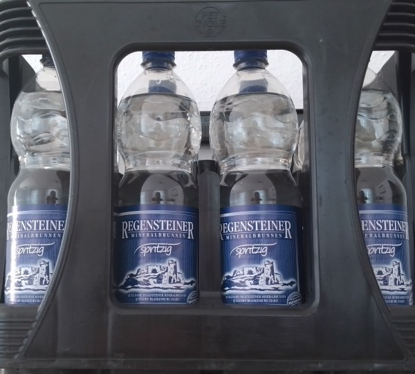 Regensteiner Spritzig 12x1l