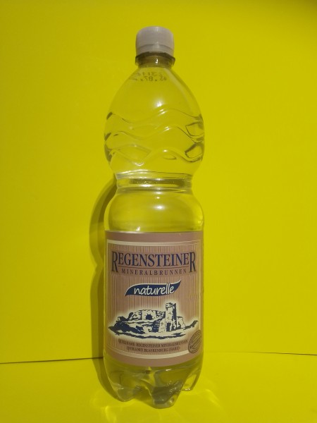 Regensteiner Naturell 12x1l